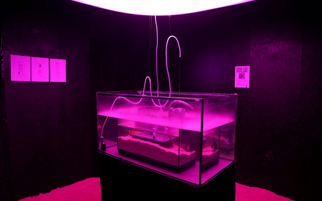 How much is the Fish?