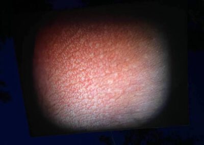 Unter väterlicher Herrschaft