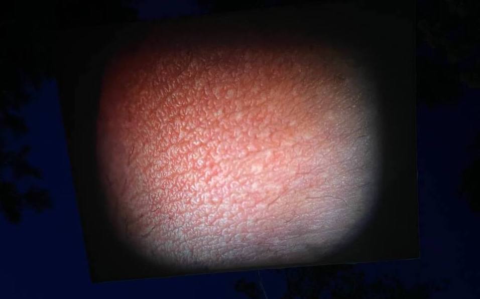 Unter väterlicher Herrschaft